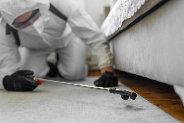 Professional Termite Control technician working in Rockfish, NC