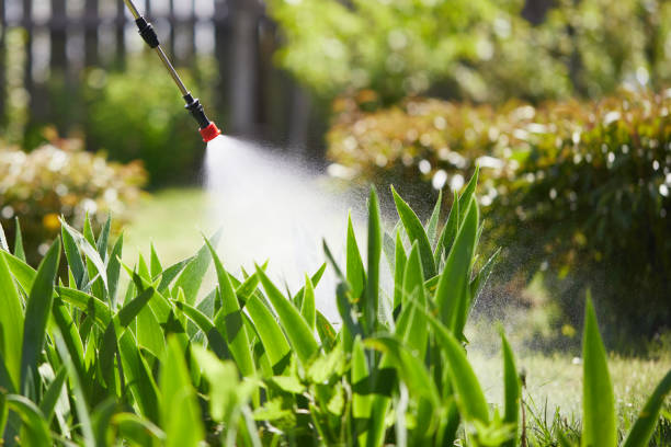 24/7 Emergency Termite Control experts in Rockfish, NC