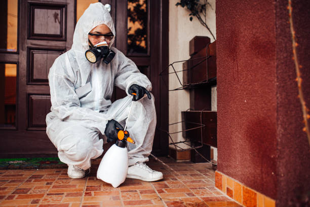 Reliable Termite Control contractor in Rockfish, NC by Nex Pest Control